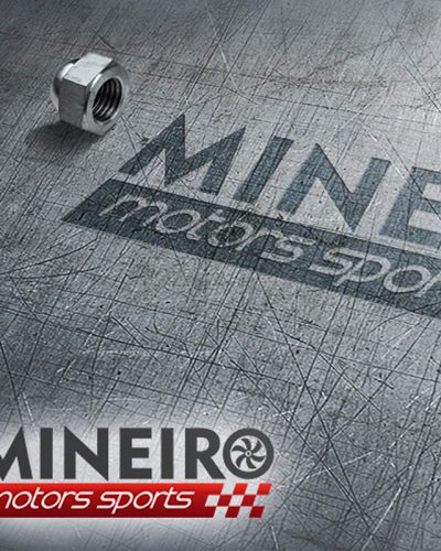 Logo Mineiro Preparações